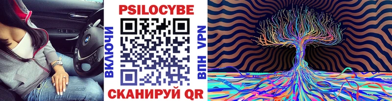 Купить где  Судогда  Галлюциногенные грибы Psilocybe 